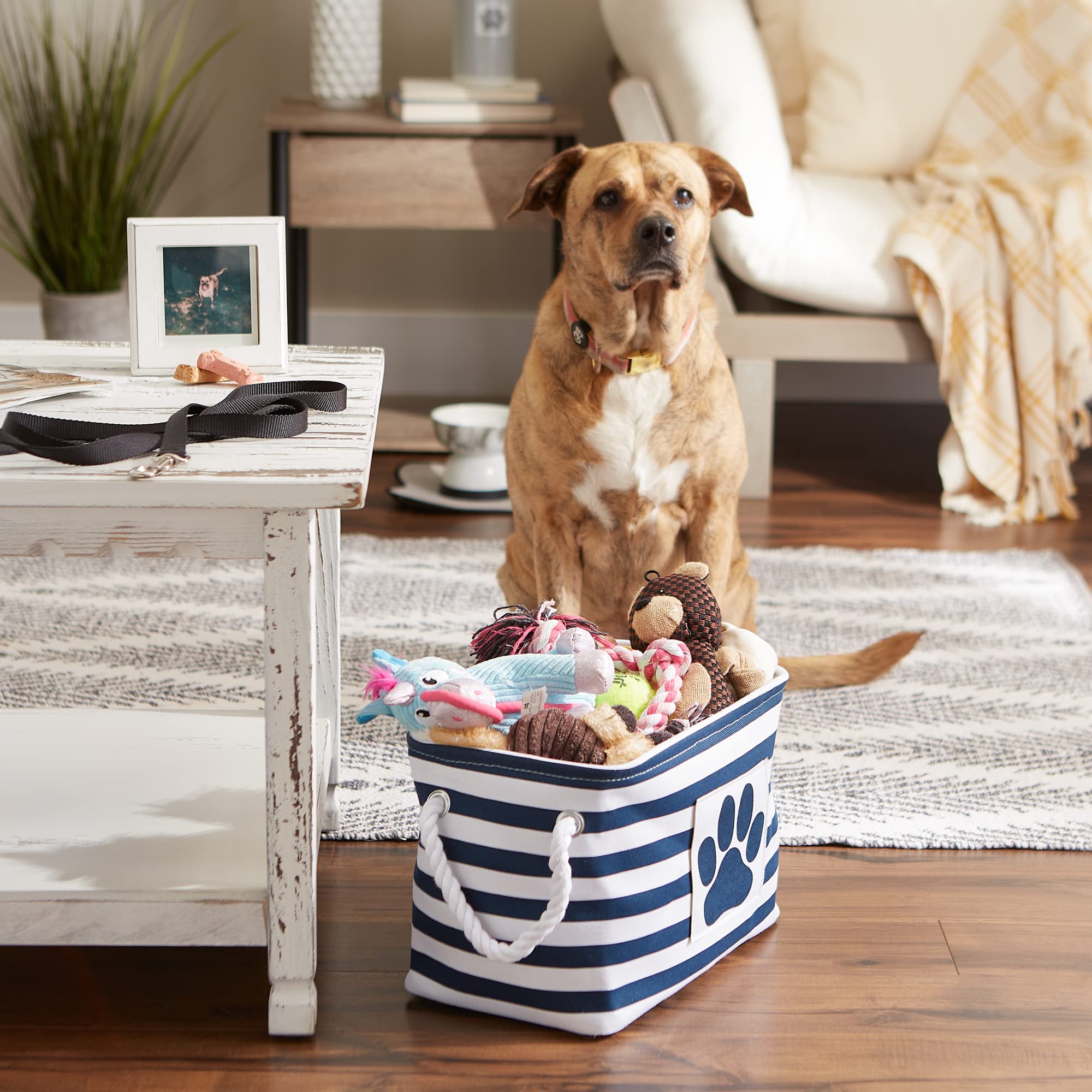 Bone Dry Pet Storage Collection Striped Paw Patch Bin, Small Rectangle, Navy - Image 5